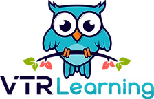 VTR Pro Footer Logo